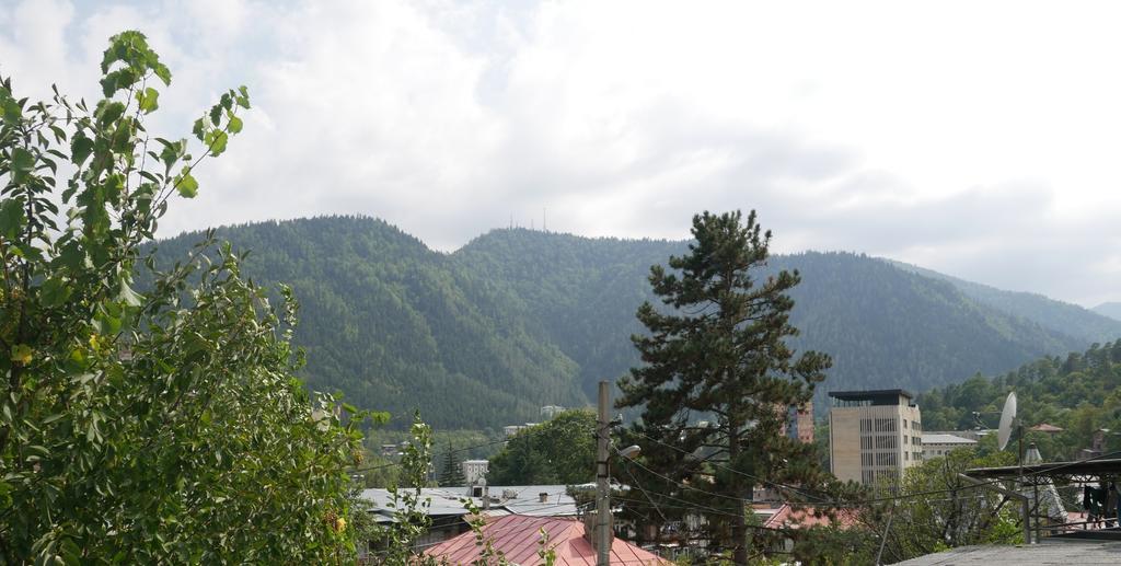 Luxury Apartment At Pirosmani 22 In Central Borjomi Bagian luar foto